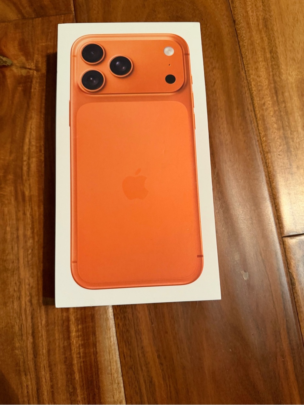 Empty iPhone 17 pro max box